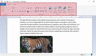 Image result for Unsaved WordPad Document Recovery