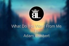 Image result for What Do You Want From Me Lyrics