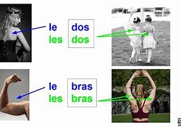 Image result for Bras