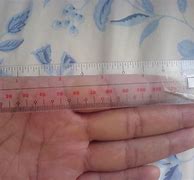 Image result for How Big Is 6 Inches Actual Size