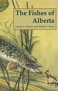 Image result for Fish of Alberta