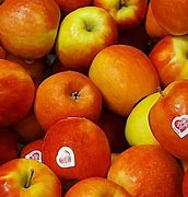 Image result for Apple with Pink Flesh