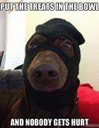 Image result for Dog Ski Mask Steal Meme