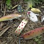 Image result for Lake Trout Fishing Lures