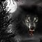Image result for Wolves in Dark Campaign