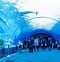 Image result for yokohama hakkeijima sea paradise