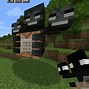 Image result for The Minecraft Wit Her Storm