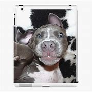 Image result for Pit Bull iPad Case