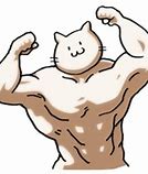 Image result for Muscle Cat Stickers