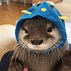 Image result for Otter Wearing Hat