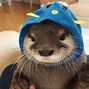 Image result for Otter in Clothes