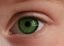 Image result for Green Eye Contact Lenses