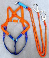 Image result for Rusty Body Harness Hook