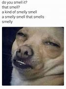 Image result for Smell BS Meme