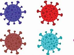 Image result for State Colors for Virus