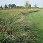Image result for golf club