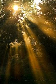 Image result for Sun Rays Aesthetic