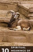 Image result for Ram Symbolism