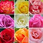 Image result for Gold-Tipped Roses
