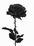 Image result for Gothic Black Roses iPhone Wallpaper