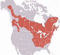 Image result for Hedgehog Range Map