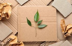 Image result for Eco Packaging Solution