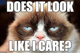 Image result for Does It Look Like I Care