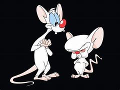 Image result for Pinky and the Brain as Super Hero's