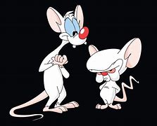 Image result for Pinky and the Brain Train