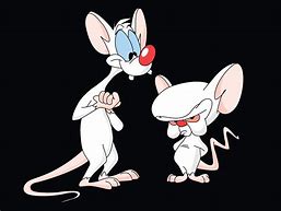 Image result for Pinky and the Brain Q