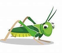 Image result for Cricket Animal Cartoon