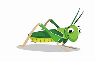 Image result for Grasshopper Cartoon