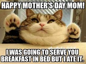 Image result for Mappy Mother's Day Meme