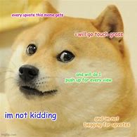 Image result for Sorry It Happened Doge Meme Touch Grass