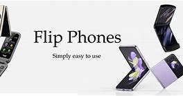 Image result for TF1 Roll Call Flip Phone