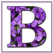 Image result for Purple Aesthetics with the Letter Z