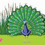 Image result for Peacock On Phone Clip Art