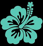 Image result for Hawaiian Flower Decals