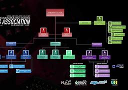 Image result for Structure of eSports