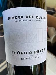 Image result for Reyes Ribera del Duero Teofilo Reyes Tamiz