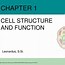 Image result for Measurement of a Figure Cell Phon