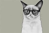 Image result for Cat with Glasses Movie Poster