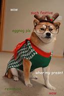 Image result for Merry Christmas Animal Meme