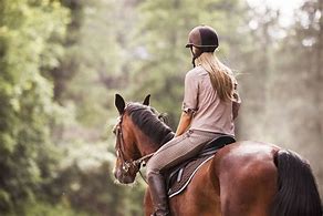 Image result for Riding a Horse Backwards