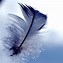Image result for Feather PC Wallpaper