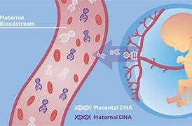 Image result for Cell-Free DNA