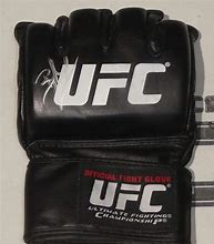 Image result for Brock Lesnar Gloves