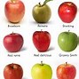 Image result for Common Types of Apple's
