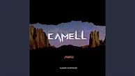 Image result for camell9