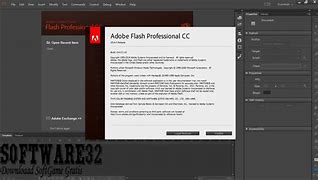 Image result for Adobe Flash Professional